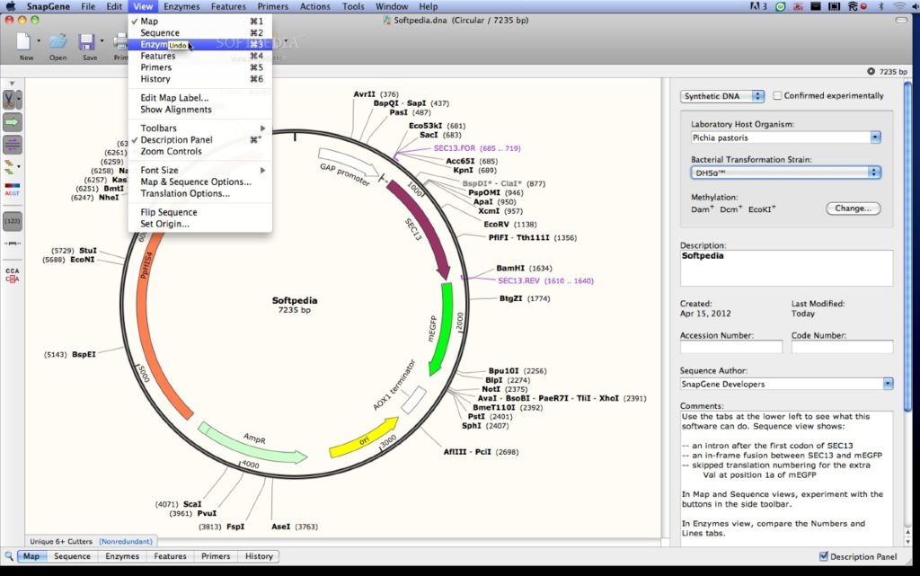 SnapGene 7.4.4 Crack 2024 + Registration Code [Latest 2024]