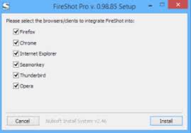 FireShot Pro License Key Download Free