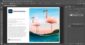 Adobe Photoshop CC 24.7.1 Crack With Serial Key [Latest 2023]
