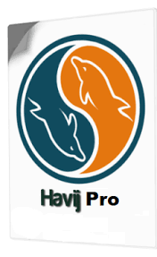 Havij Pro 1.20 Crack + Serial Key Free Download [Latest 2024]
