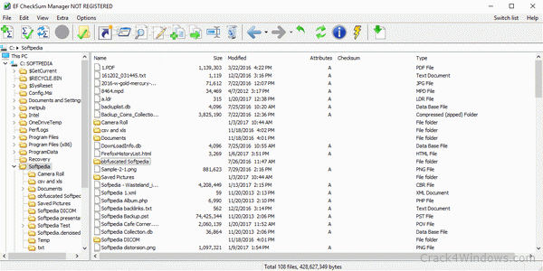 EF CheckSum Manager 24.10 Crack With Keygen [Latest 2024]