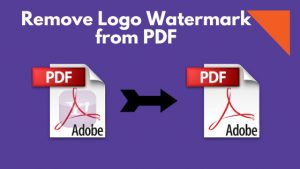 PDF Watermark Remover Crack + Key Download [2023]
