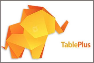 TablePlus 5.4.5 Crack + License Key Full Free Download [Latest]