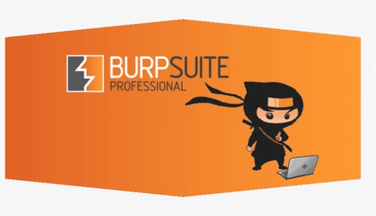 Burp Suite Professional 2023.10.3.7 download the new version for iphone