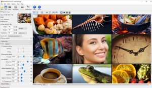 Benvista PhotoZoom Pro 8.2.2 Crack + Key Free Download [2024]