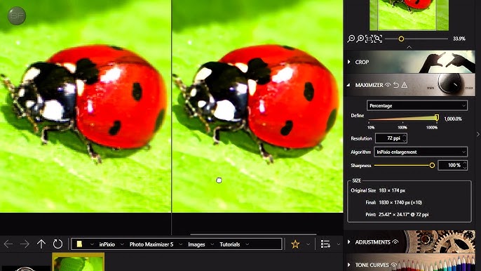 InPixio Photo Maximizer Pro With Crack [Latest]