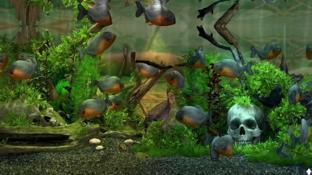 Behind Glass Aquarium Simulator Free Download [Latest]