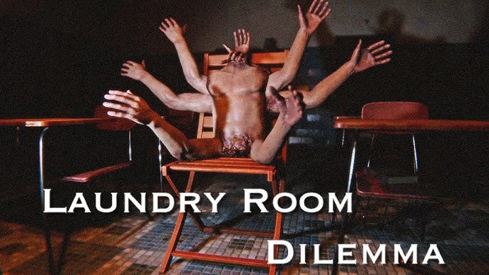 Laundry Room Dilemma Free Download [Latest]