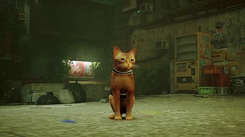 Stray of Lost Cat Free Download [Latest]